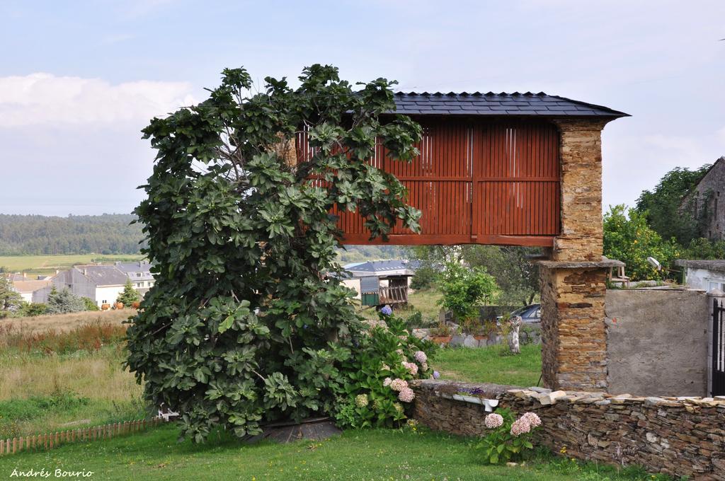 Apartamentos A Palleira Barreiros Exterior photo